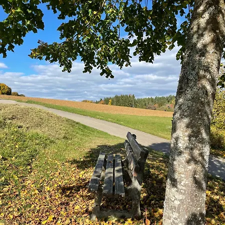 דירה Im Steinachtal *